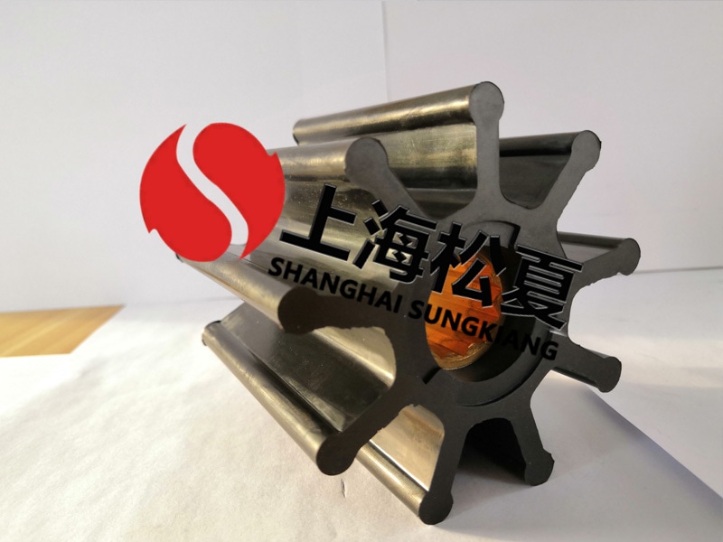 定制橡膠葉輪泵需要注意什么呢？